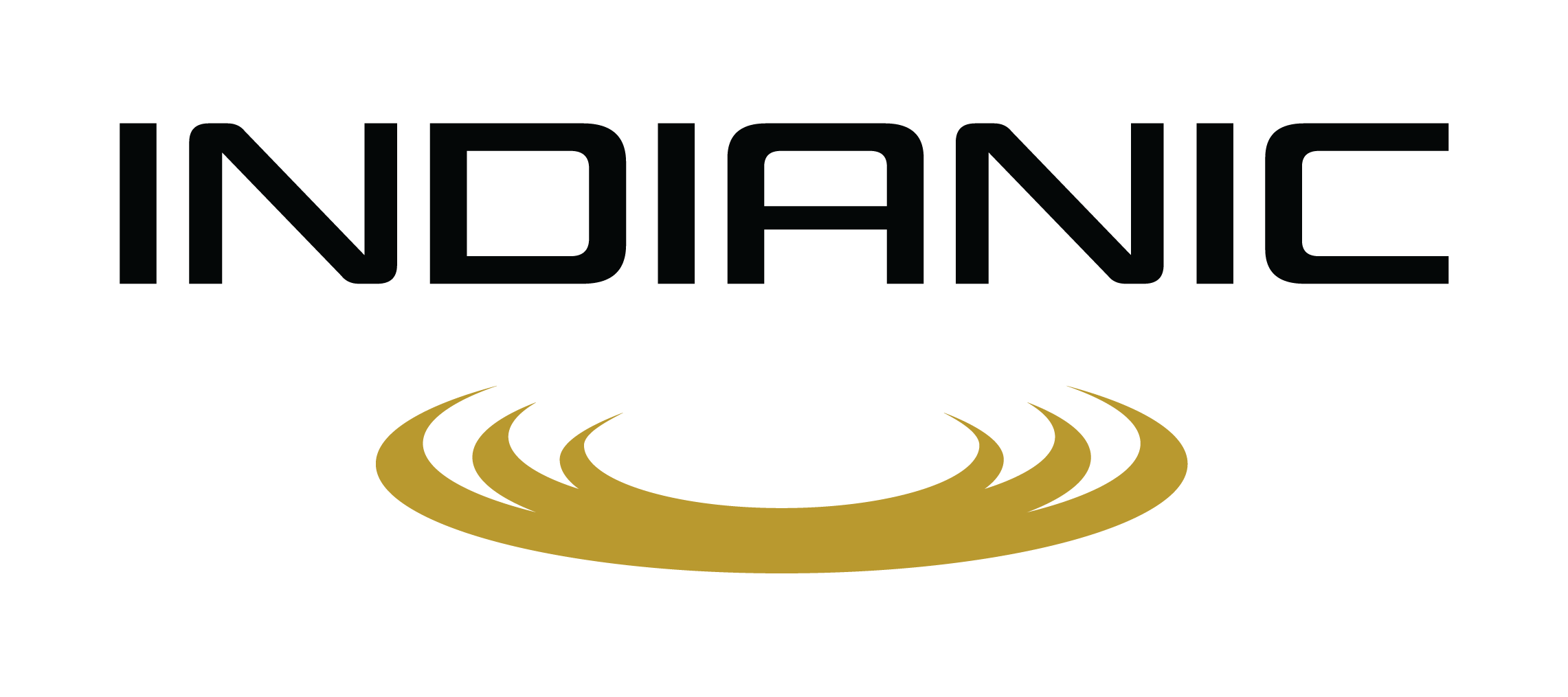 Indianic Group  logo