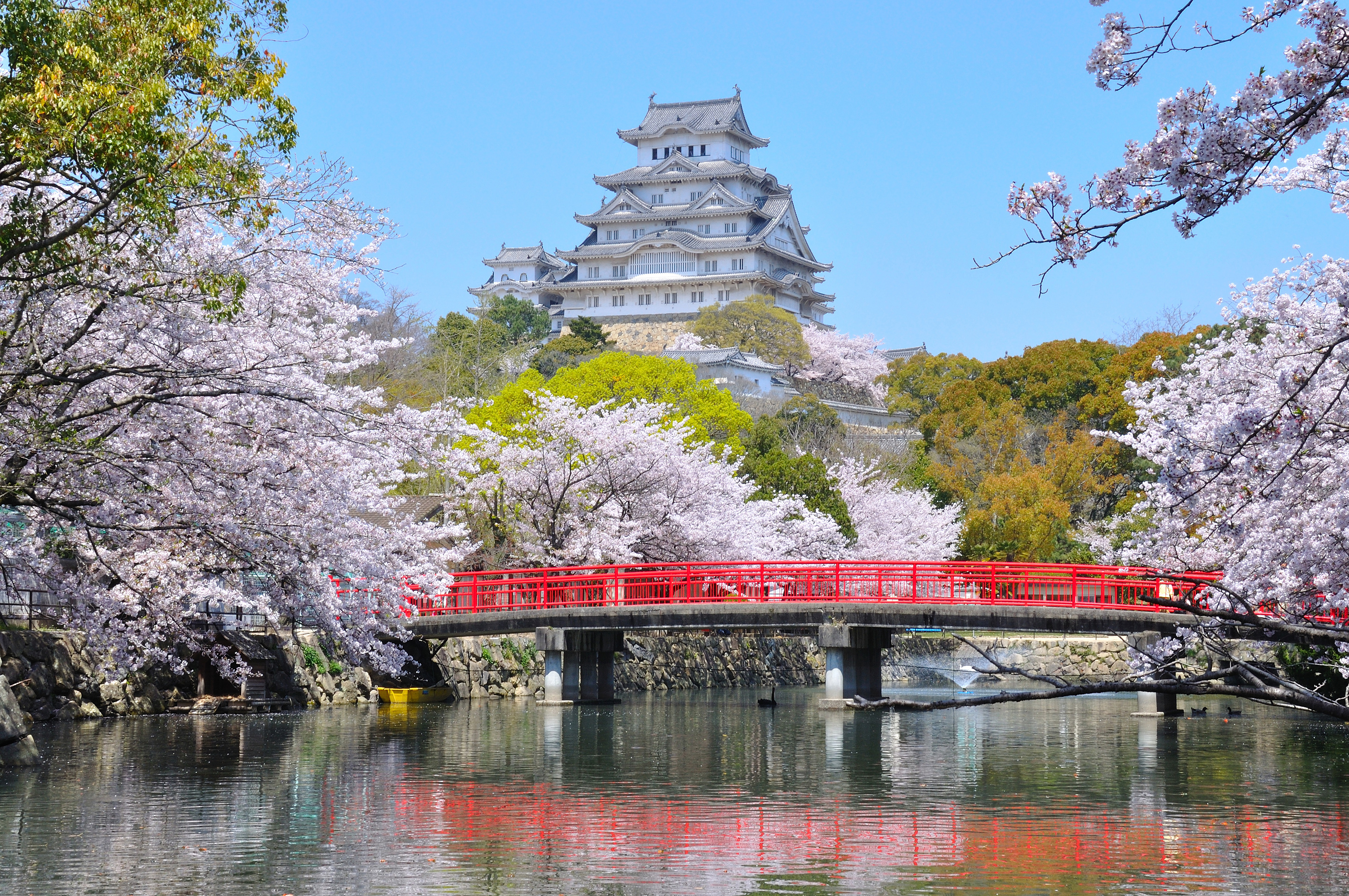 Hyogo Japan