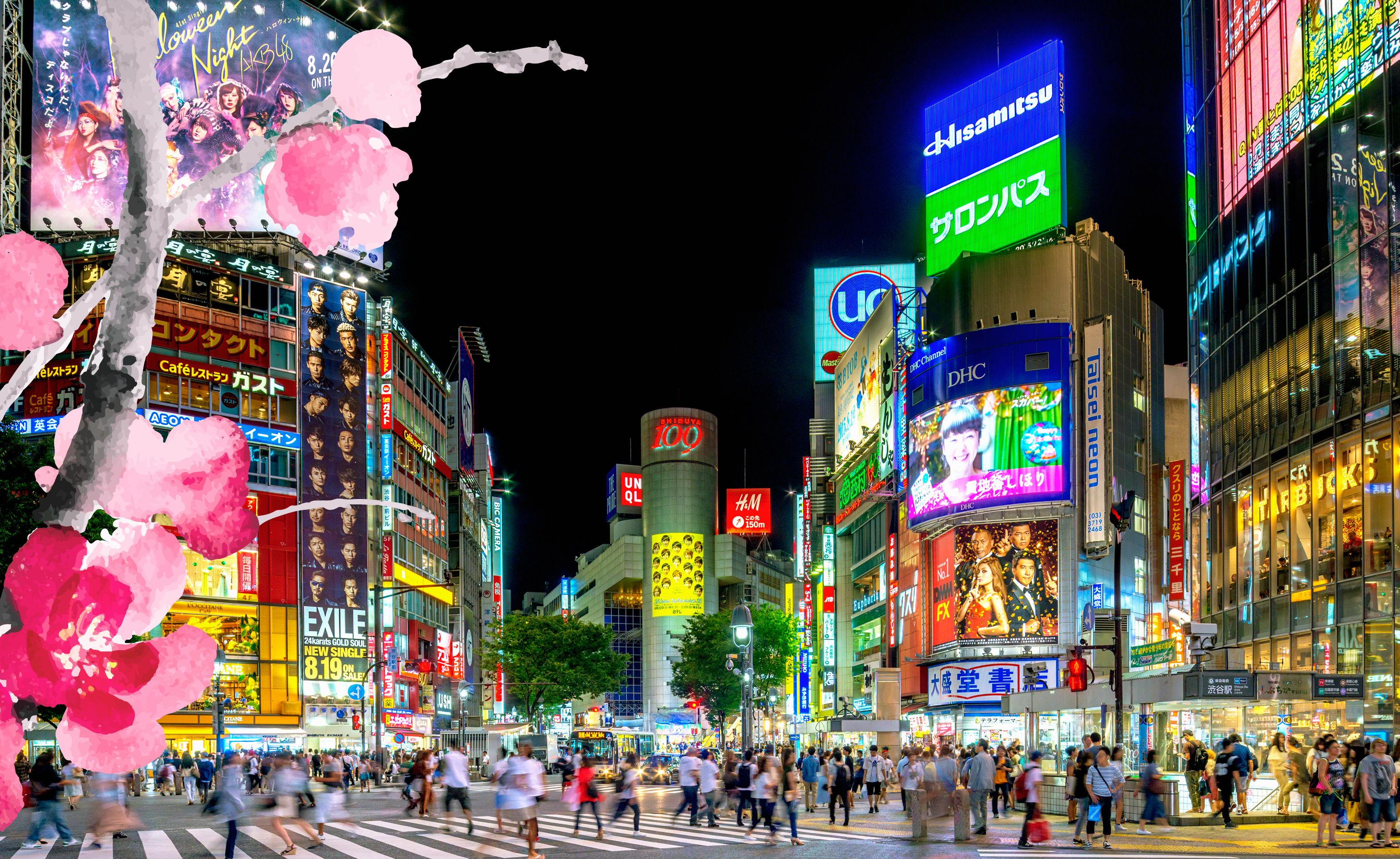 Japanese Scholarship Graphic