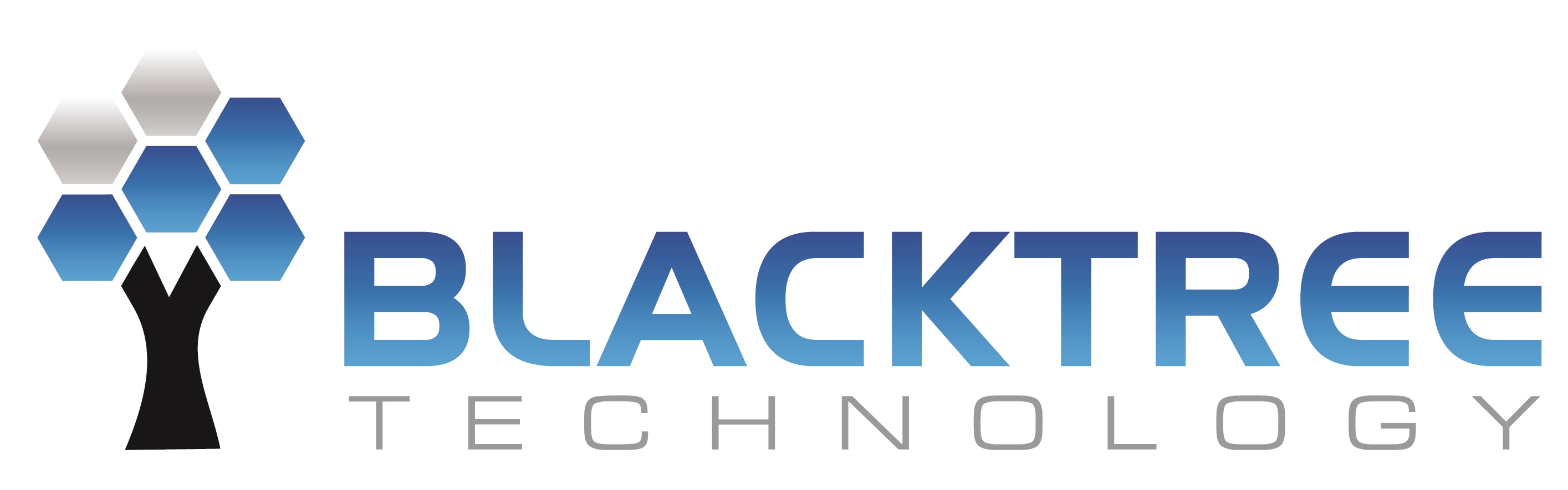 Blacktree Technology logo