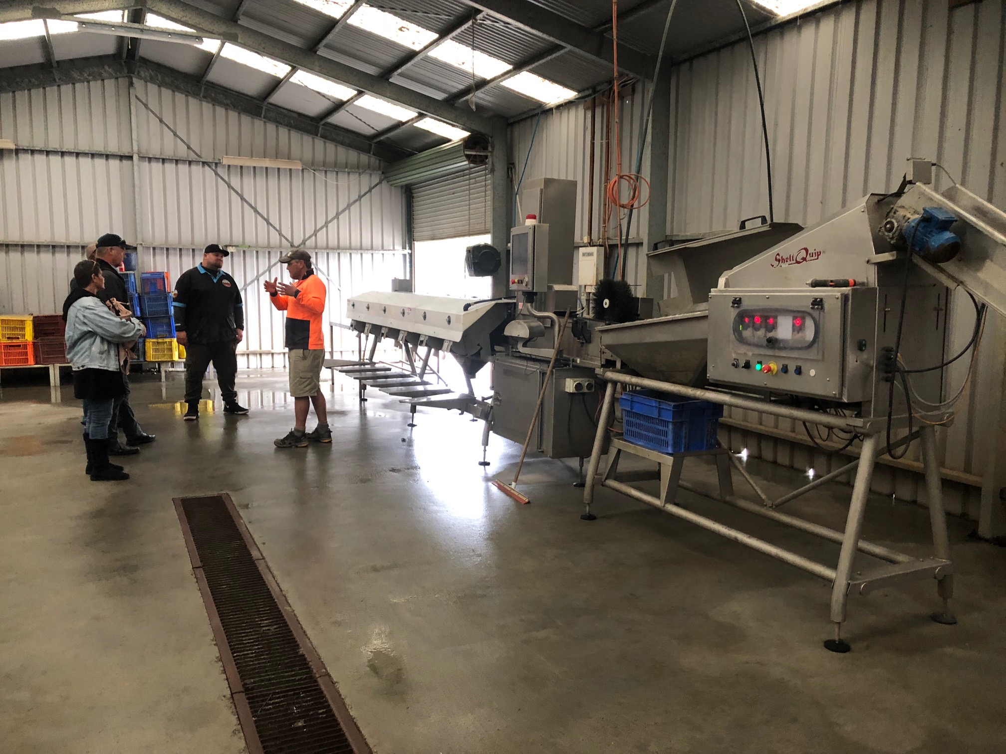 Murujuga Oyster processing and grading equipment in Tasmania